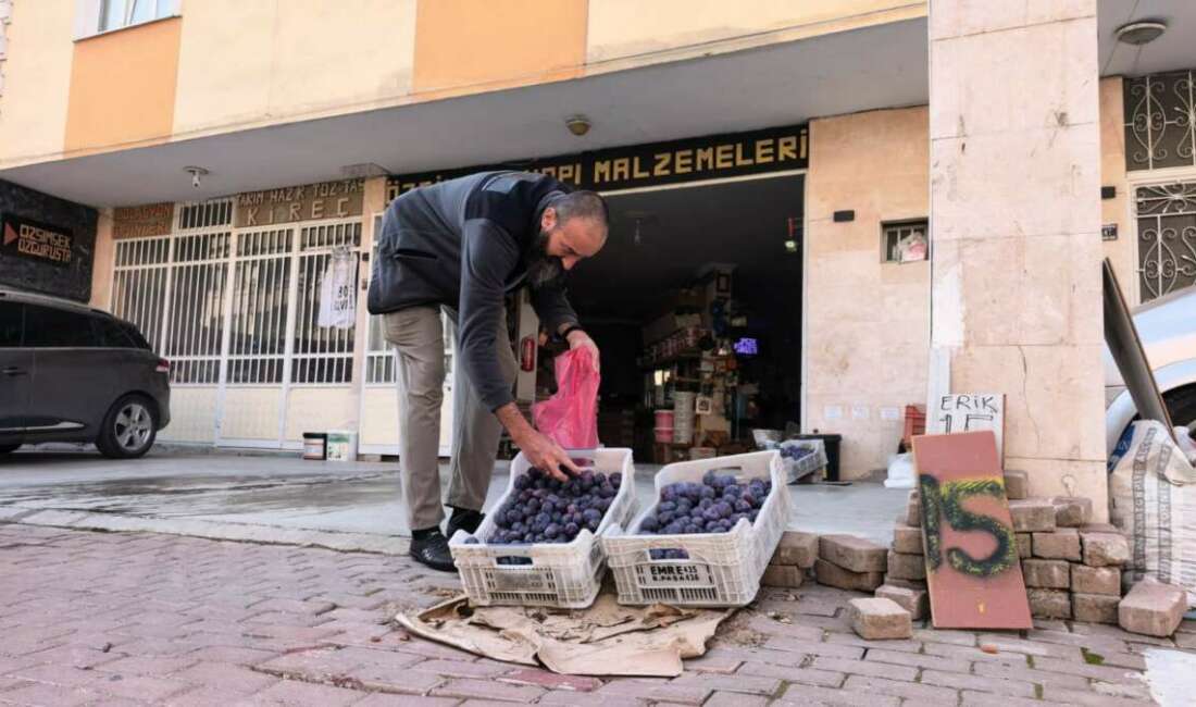 Dalında bırakmadı, çöpe atmadı! İnegöl’de annesine ait tarlada