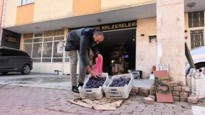 İnegöl’de annesine ait tarlada yaklaşık