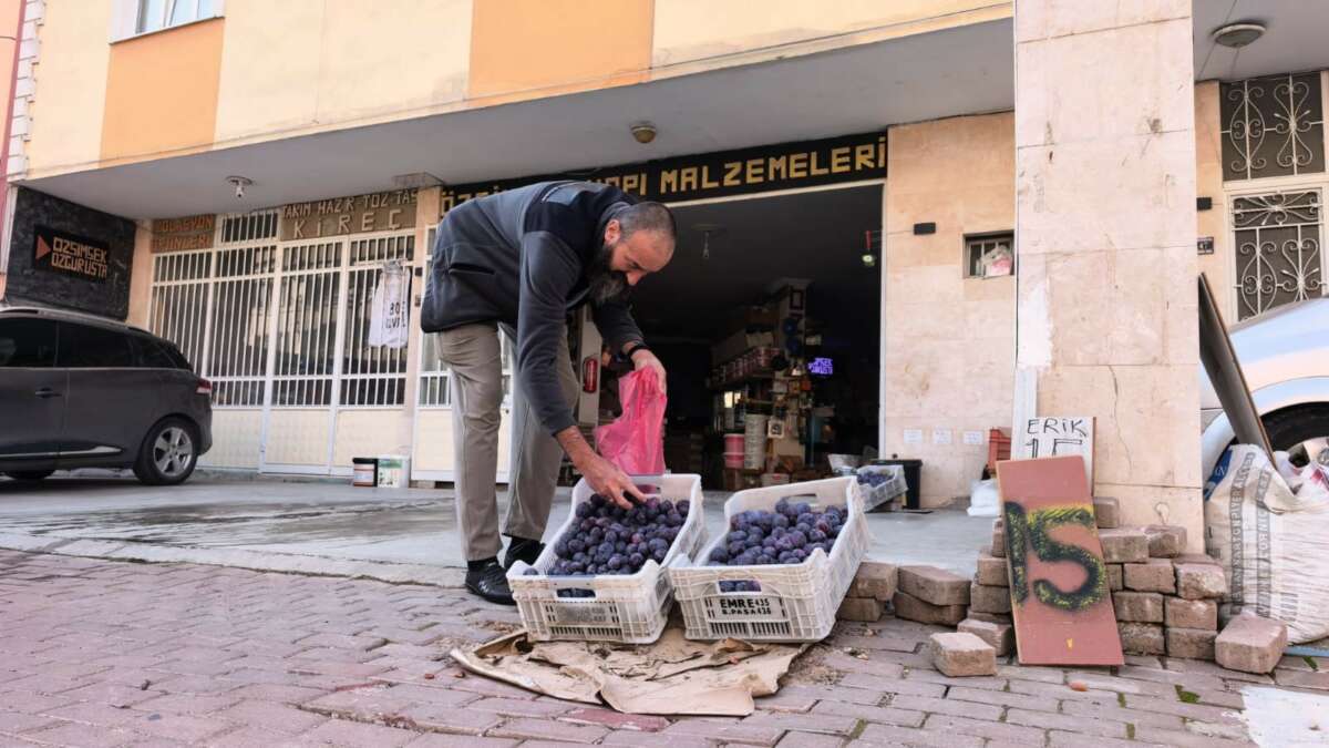 Dalında bırakmadı, çöpe atmadı!