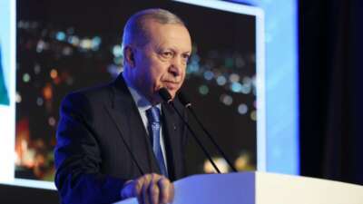 Cumhurbaşkanı Recep Tayyip Erdoğan, Türk
