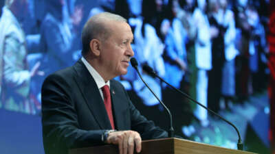 Cumhurbaşkanı Recep Tayyip Erdoğan, "Vesayetçilerin
