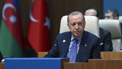 Cumhurbaşkanı Recep Tayyip Erdoğan, Türk