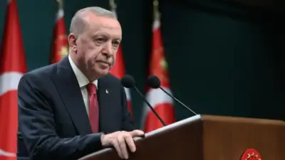 umhurbaşkanı Erdoğan, BM’nin kuruluşunun 81.