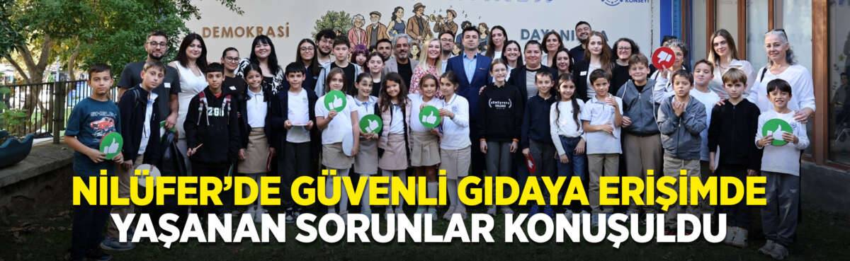 Nilüfer Belediyesi, Nilüfer Kent Konseyi