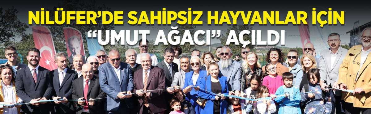 Nilüfer Belediyesi, sokak hayvanlarına doğal