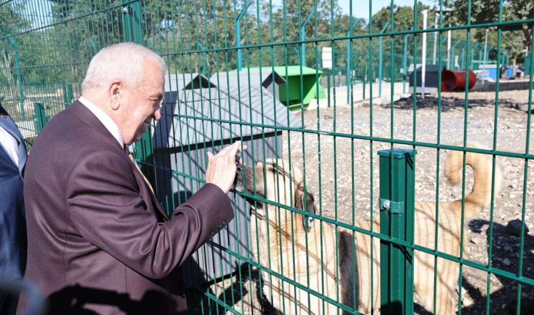 Nilüfer Belediyesi, sokak hayvanlarına doğal