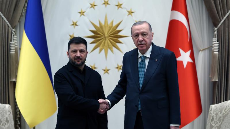 Ukrayna Devlet Başkanı Volodimir