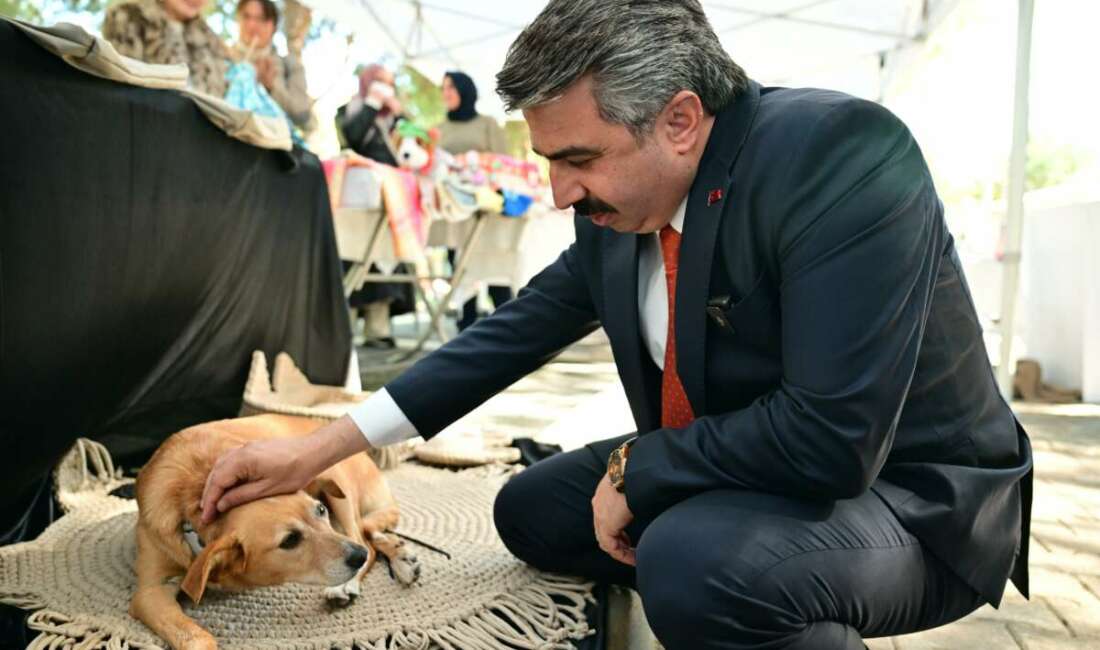 Yıldırım’da çocuklar sevimli patilerle buluştu! Yıldırım Belediyesi, 4 Ekim Dünya